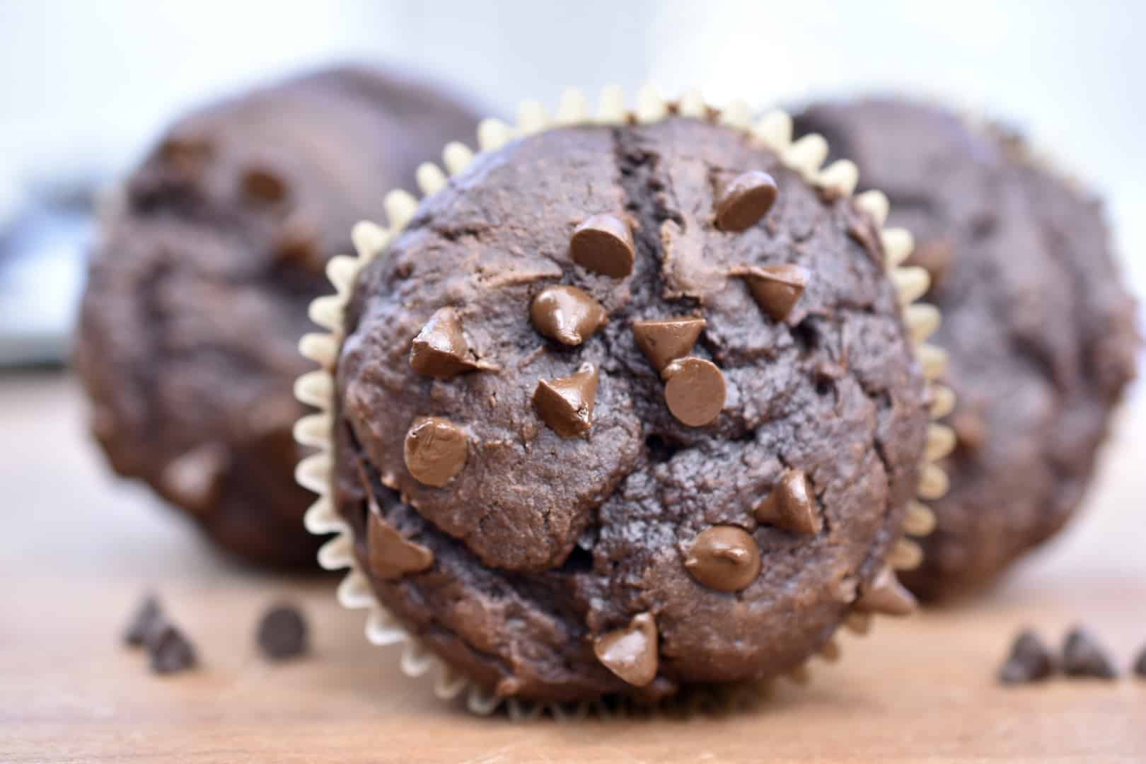 closeup of 100 calorie chocolate muffin with chocolate chips on top