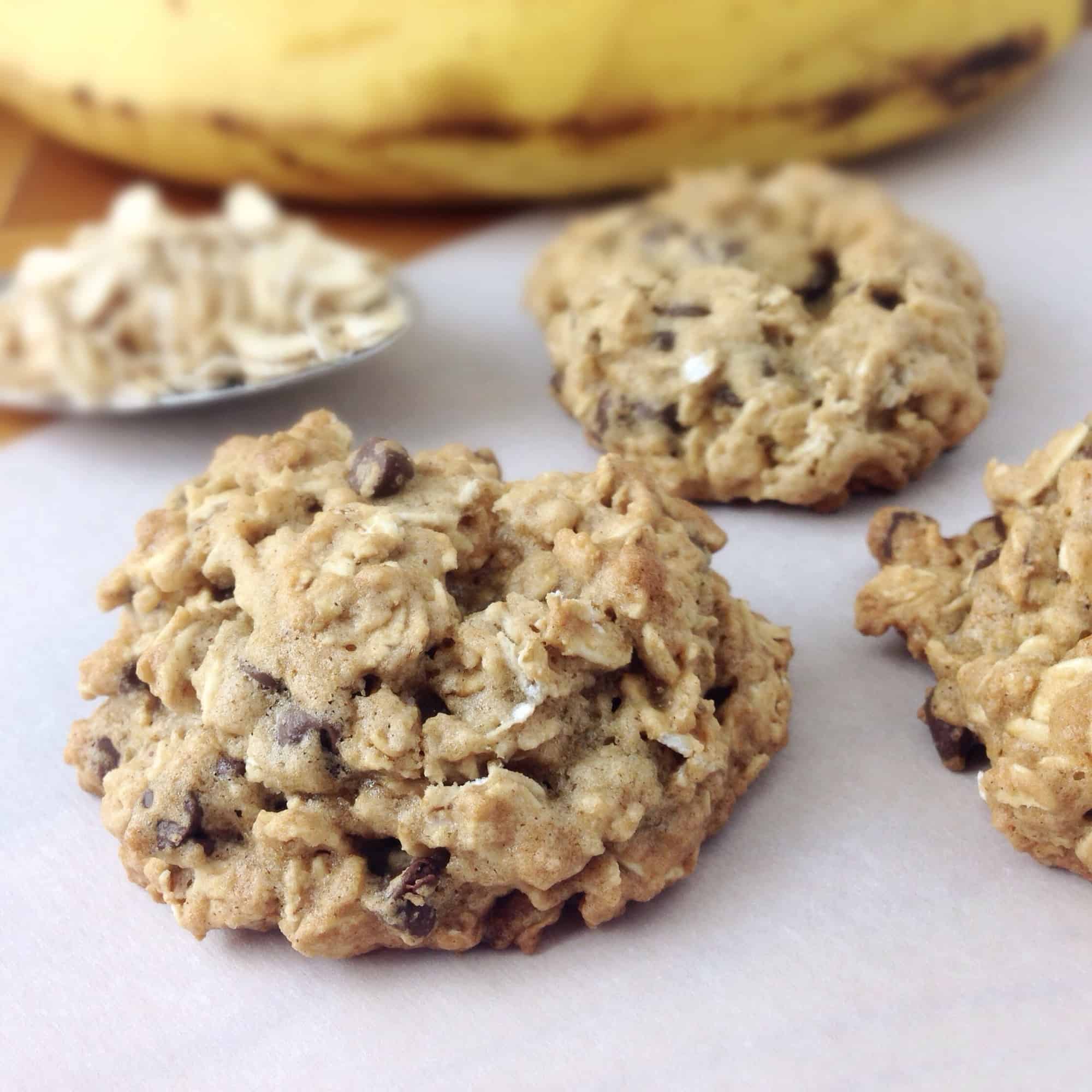 closeup of chewy oatmeal cookies