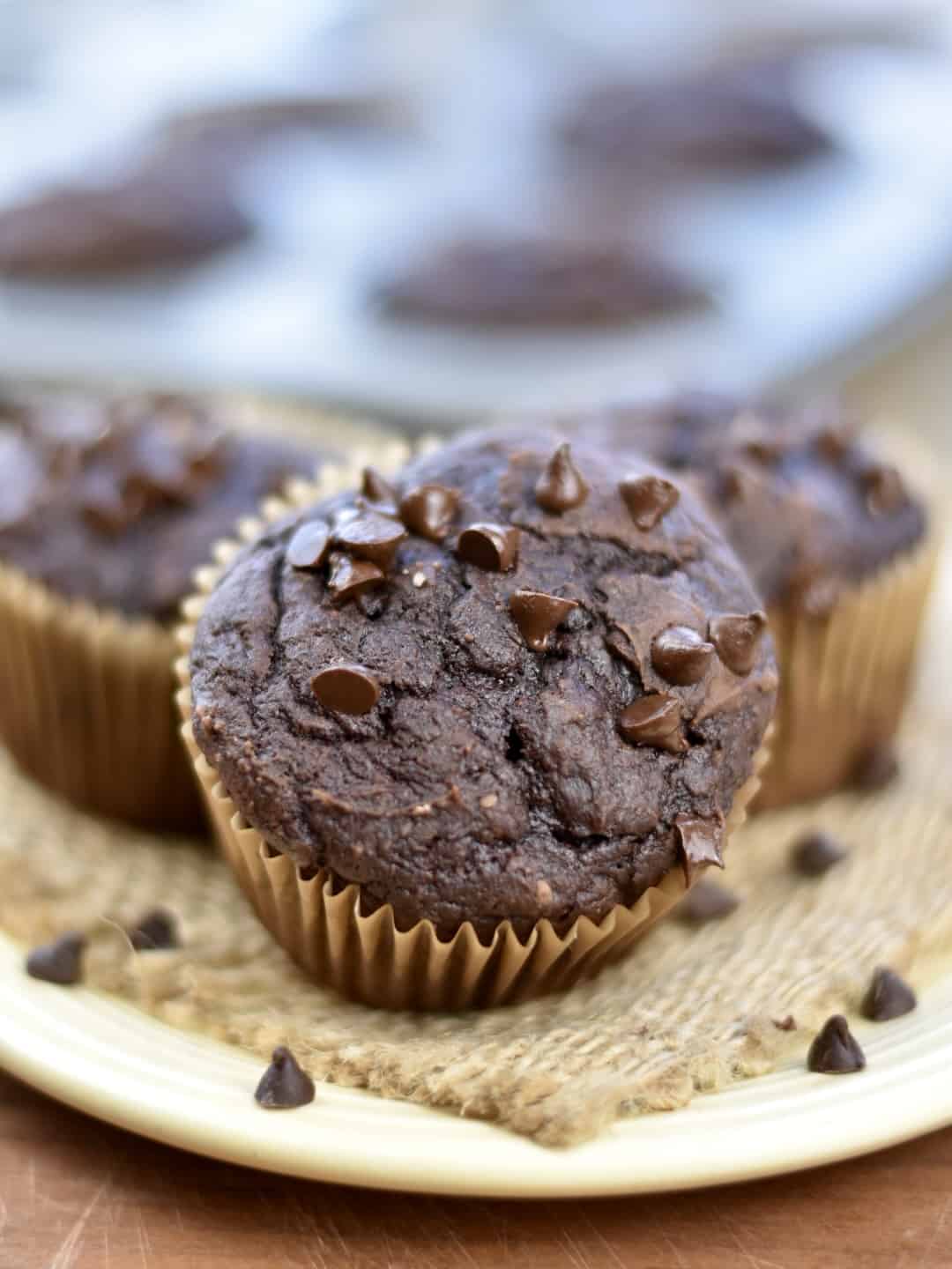 Closeup of 100 calorie chocolate muffins on a plate
