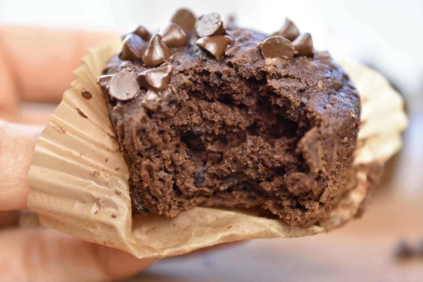 closeup of hand holding 100 calorie chocolate muffins with a bite out of it