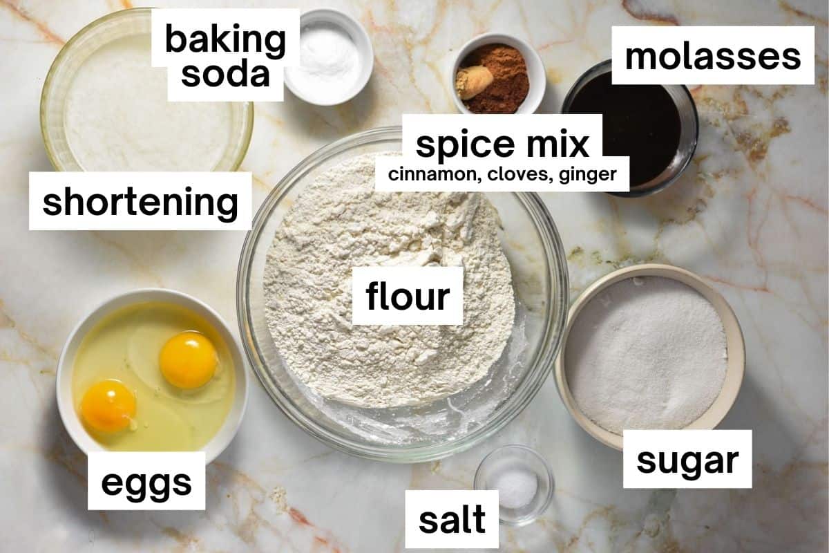 ingredients on a marble counter, including flour, molasses, eggs, sugar, ginger, cloves. 