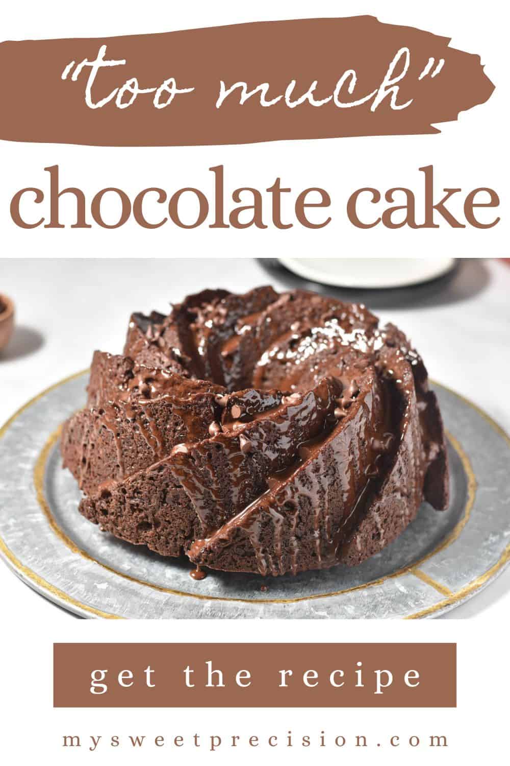 Too Much Chocolate Cake - My Sweet Precision