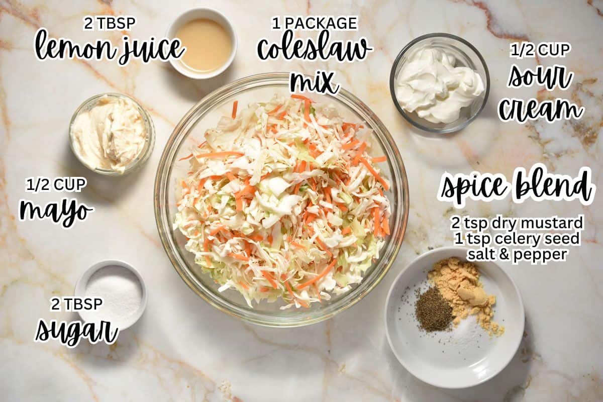 Pre-measured ingredients for coleslaw mix arranged neatly, featuring shredded cabbage, sour cream, mayo, and celery seed.